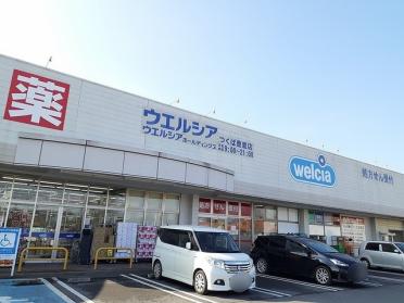 ウエルシアつくば豊里店：1300m