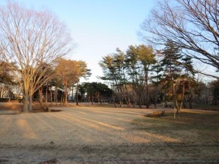 赤塚公園：300m