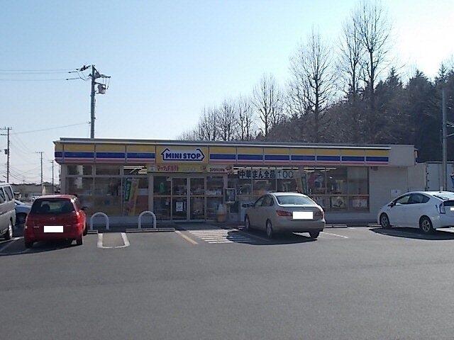 ミニストップ高野台店：650m