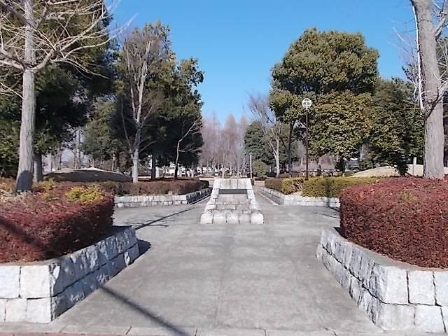 高野台公園：130m