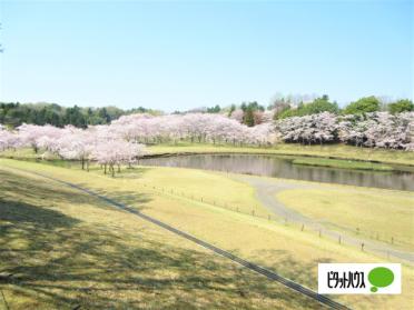 科学万博記念公園