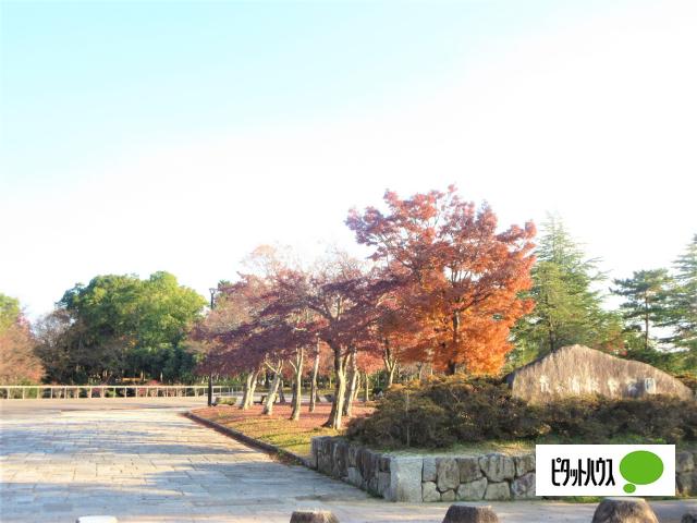 霞ヶ浦総合公園