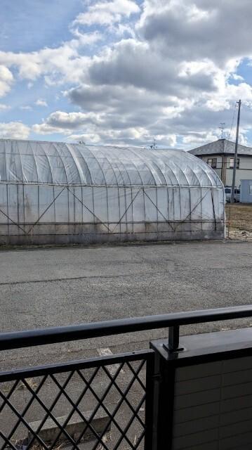 ハイツウィステリア2号棟（103） 部屋画像