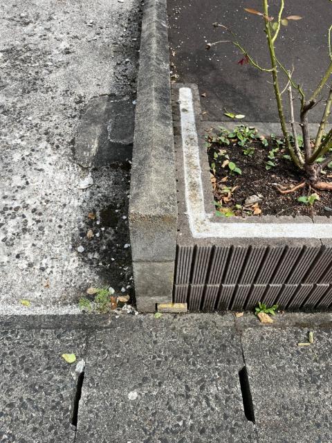 立花１６地割１５番３１ 庭