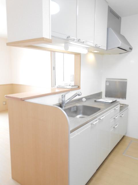 プランドール (川越)　Ｂ（101） キッチン