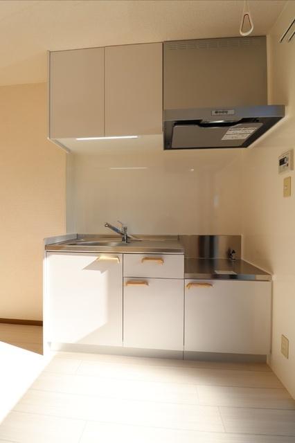 ハイカムール泉（A103） 部屋画像