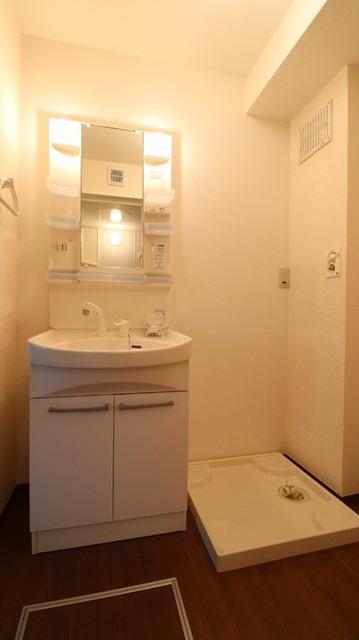 Ｒｏｓｅ Ｖｉｌｌａ(ﾛｰｽﾞｳﾞｨﾗ)　Ｄ（206） 部屋画像