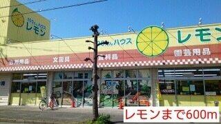 レモン：600m