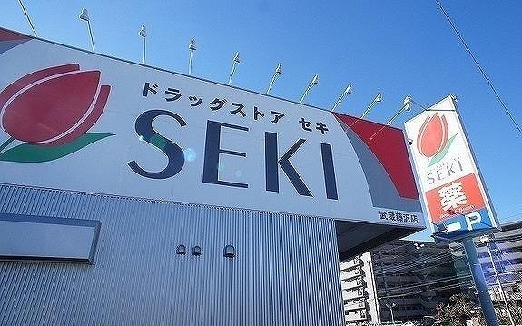 ドラッグストアセキ 武蔵藤沢店：500m