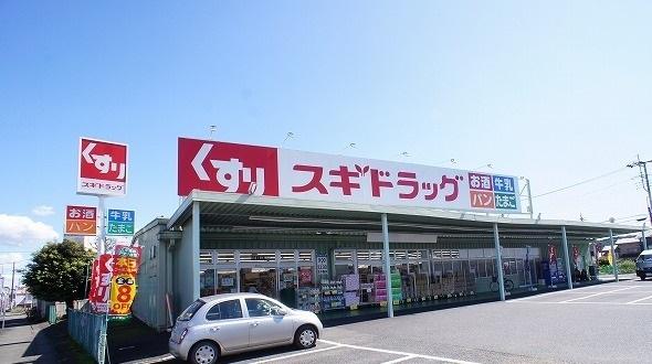 スギドラッグ 飯能店：1100m