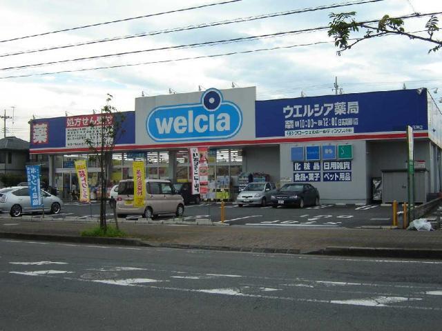 ウエルシア日高高麗川店：239m