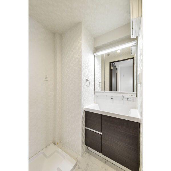 S-RESIDENCE浅間町（301） 洗面