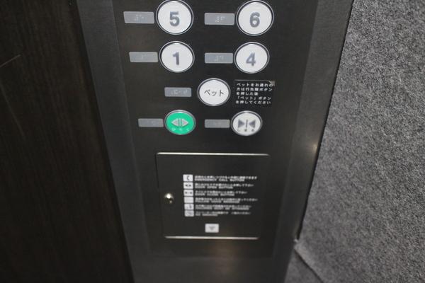 スクエア・アパートメント 物件画像