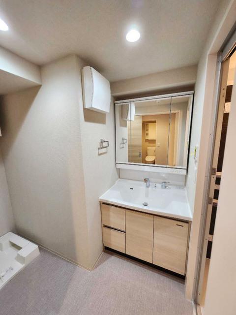 グラシア西大寺　住居（302） 洗面