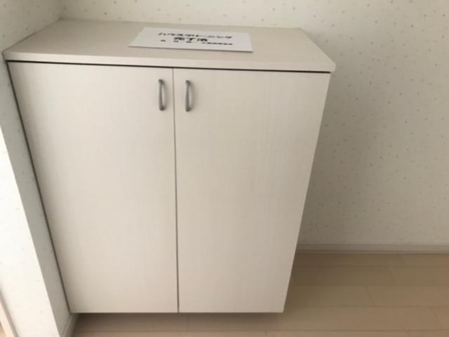 メゾン・プレシャス（102） 収納