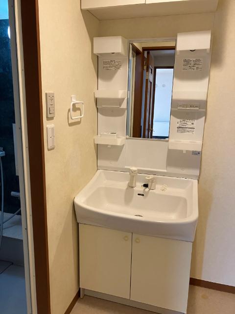 アーバンヴェール参号館（202） 洗面