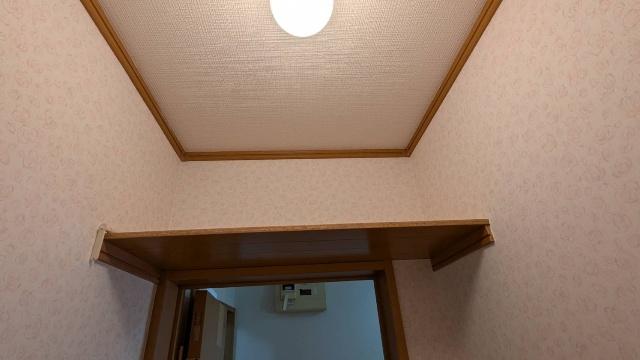 ベルシーヌみどり（102） トイレ