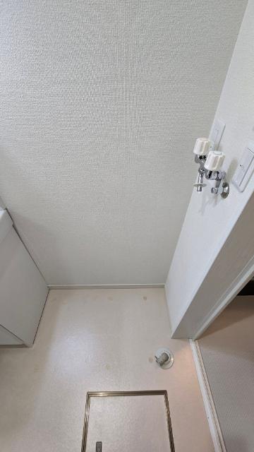カタラーナ（103） その他