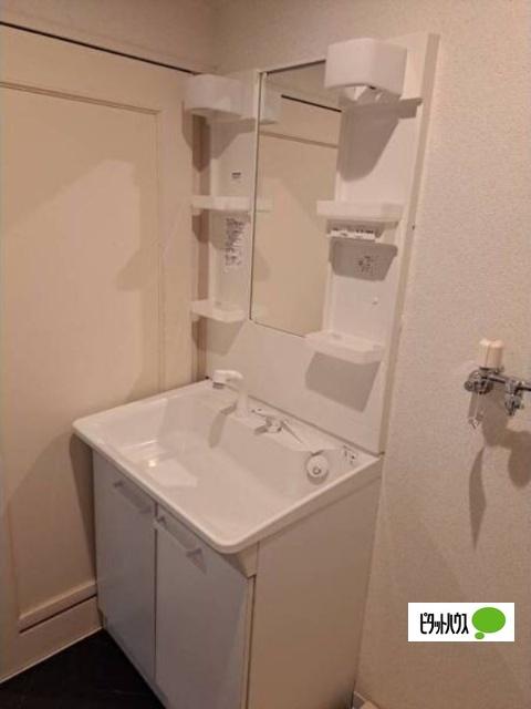 サンタの館医大前(エスターロワイヤル)（902） 洗面