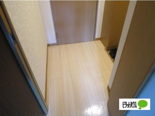 ハイデンス４−１３（206） 玄関