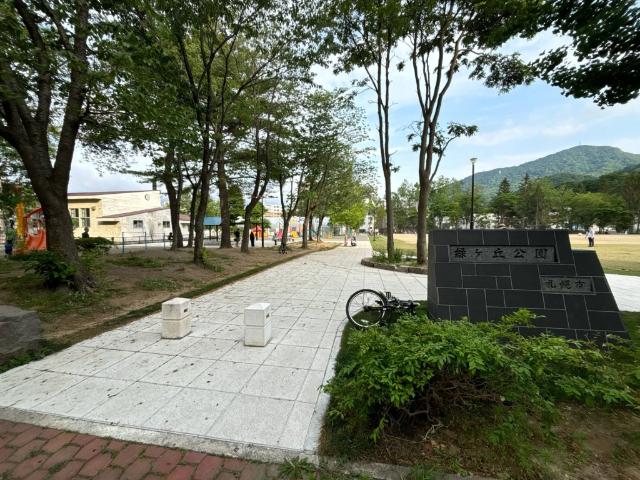 緑ケ丘公園：994m