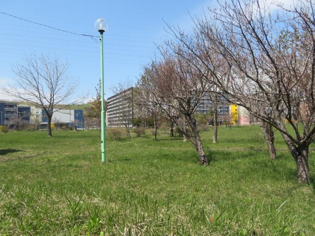 大和公園：781m