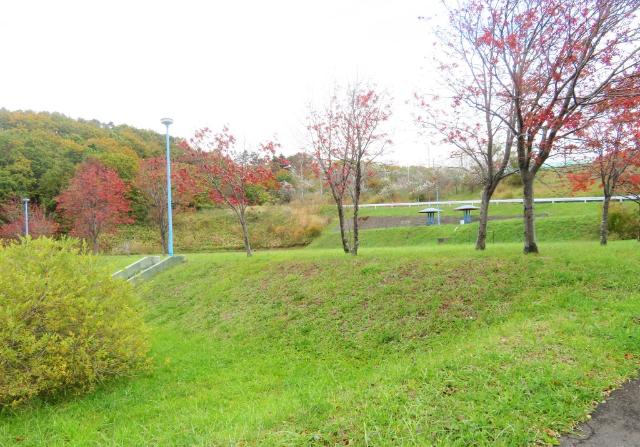 白鳥台南公園：894m