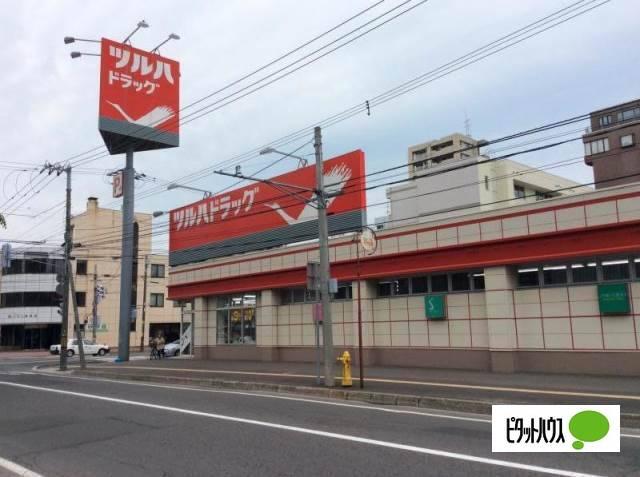 ツルハドラッグ南14条店：312m