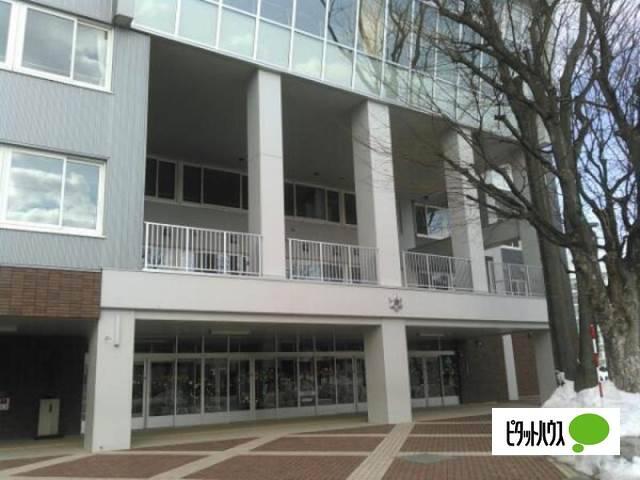 桑園小学校：534m