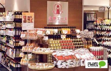 北野エースさっぽろ東急店：491m