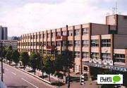 札幌市立八軒西小学校：697m