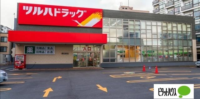 ツルハドラッグ南6条店：251m