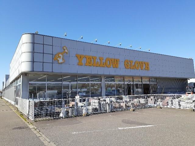 イエローグローブ：2000m
