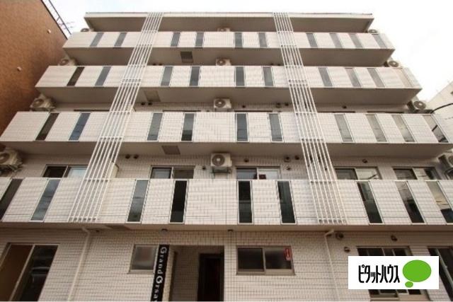 グランオルセー北大前（305） 外観