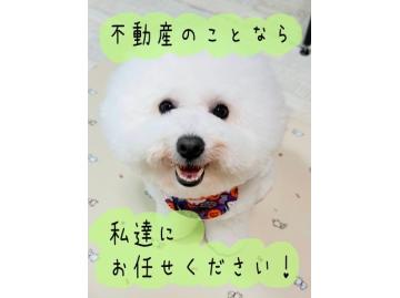スタッフのサムネイル
