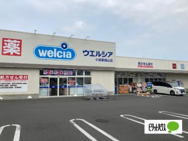 ウエルシア小田原栢山店：479m