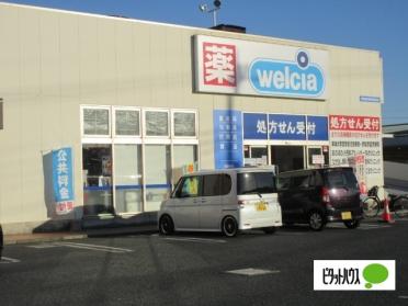 ウエルシア伊勢原市役所前店：553m