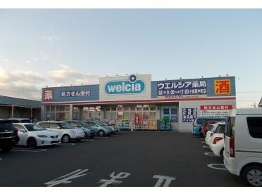 ウエルシア中町店：500m