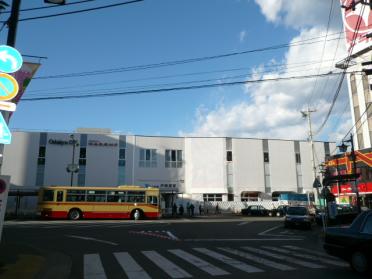 伊勢原駅（南口）：500m