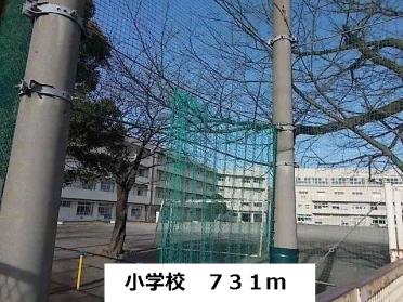 小学校：731m