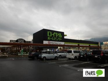 ロイヤルホームセンター伊勢原店：772m