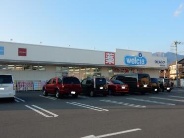 ウエルシア秦野平沢店：249m