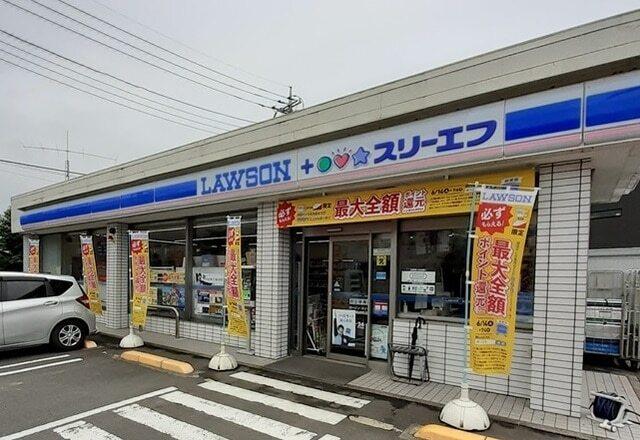 ローソン・スリーエフ開成町店：300m