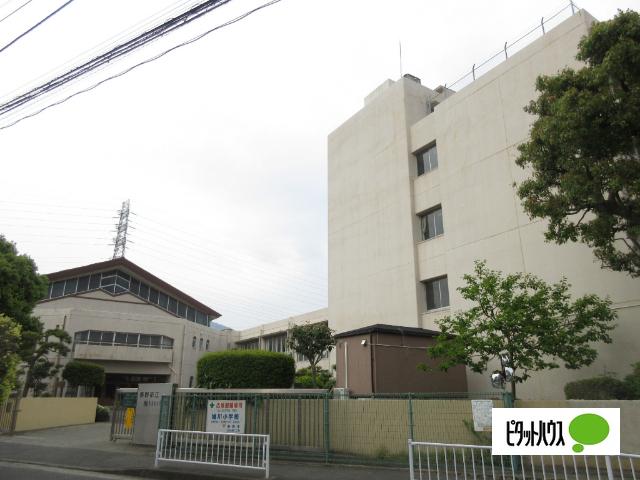秦野市立堀川小学校：1561m