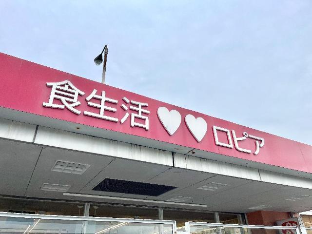 ロピア渋沢店：544m
