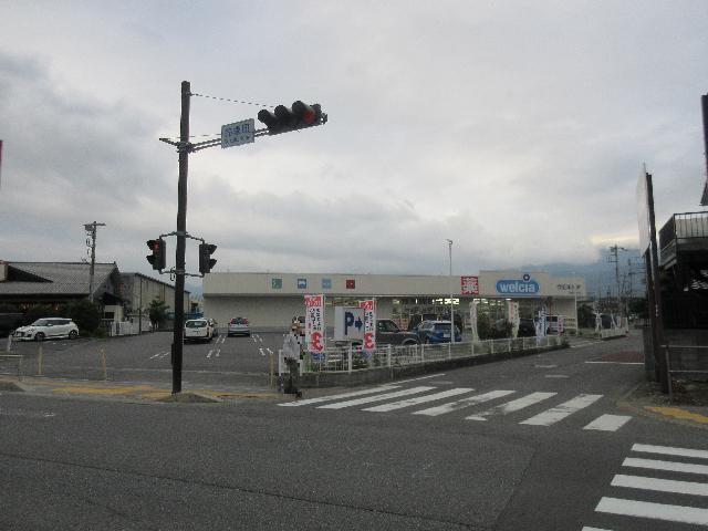 ウエルシア秦野平沢店：250m