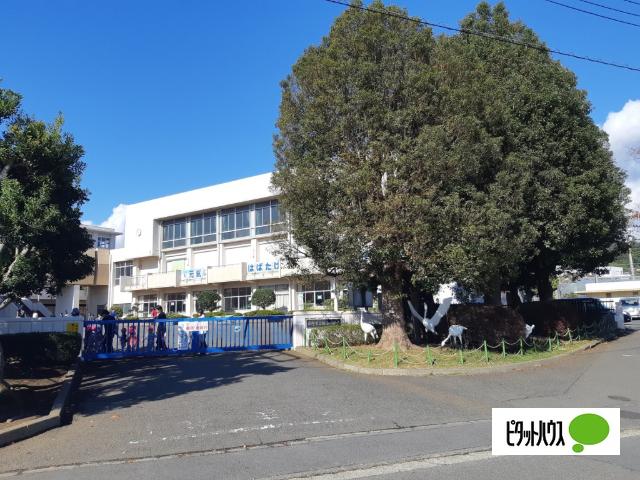 秦野市立鶴巻小学校：702m