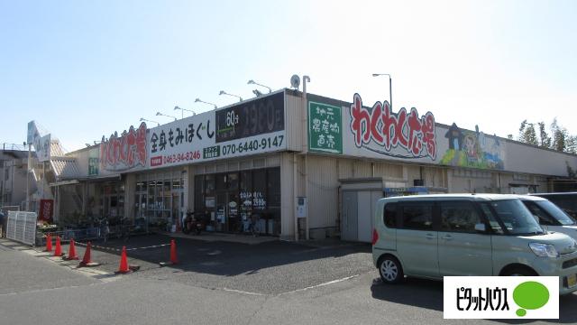 わくわく広場伊勢原店：428m