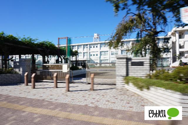 伊勢原市立伊勢原小学校：695m