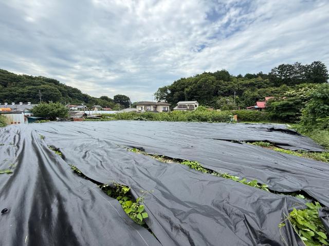 広い土地になります♪